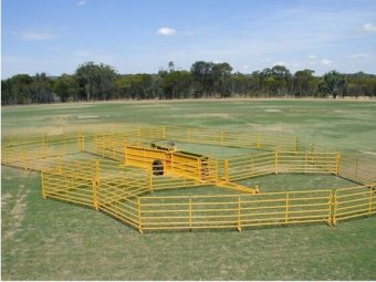 McDougall Transportable Sheep yards