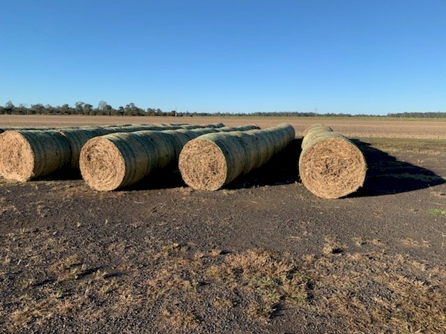 Soy Bean Stubble Rolls
