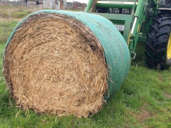 2021 Oaten Hay 5x4 Rolls