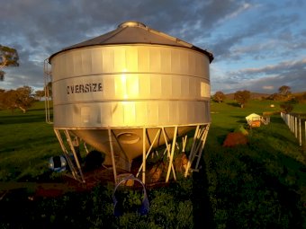 Nelson Field Bin