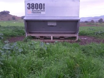 Advantage 3800 Feeder
