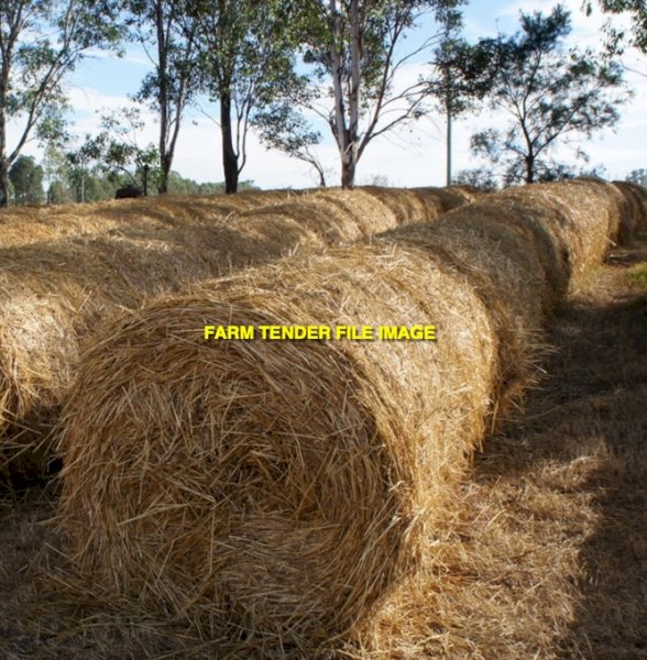 pasture hay this seasons