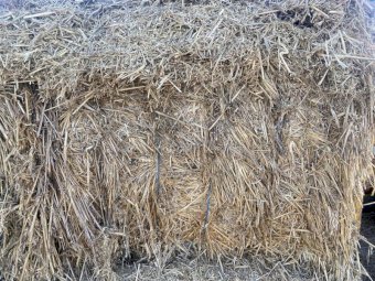 120 x Barley Hay 470kg 8x4x3 Bales