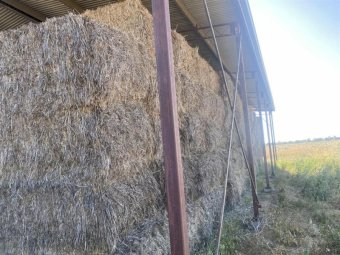 120 x Barley Hay 470kg 8x4x3 Bales