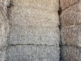 120 x Barley Hay 470kg 8x4x3 Bales
