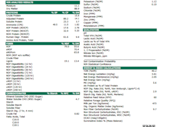 270mt Vetch Hay 560kg 8x4x3 Bales