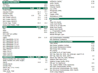 140mt Vetch Hay 560kg 8x4x3 Bales