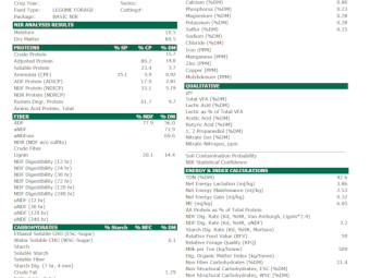 240mt Vetch Hay 600kg 8x4x3 Bales