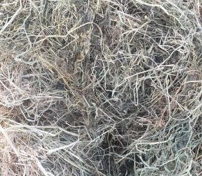 Irrigated Sub Clover, Ryegrass and Lucerne Hay