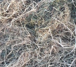 Irrigated Sub Clover, Ryegrass and Lucerne Hay