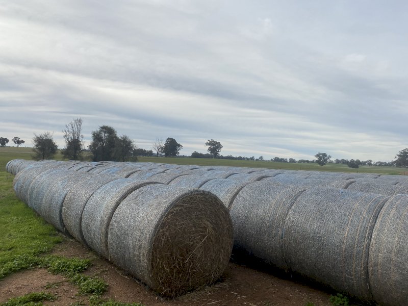 Rye Grass 5x4 Round Bales | Farm Tender