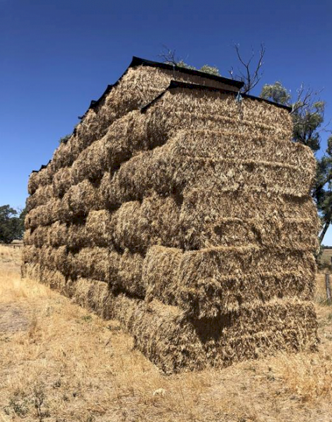 40mt Wheaten Hay 500kg 8x4x3 Bales