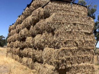 40mt Wheaten Hay 500kg 8x4x3 Bales