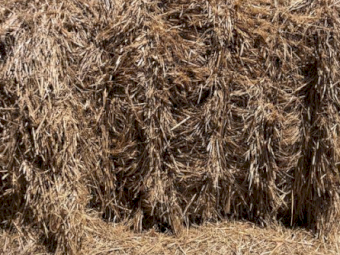 40mt Wheaten Hay 500kg 8x4x3 Bales