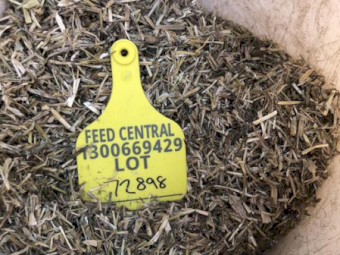 40mt Wheaten Hay 500kg 8x4x3 Bales