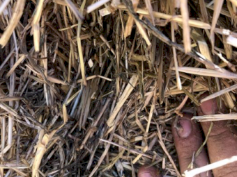 40mt Wheaten Hay 500kg 8x4x3 Bales