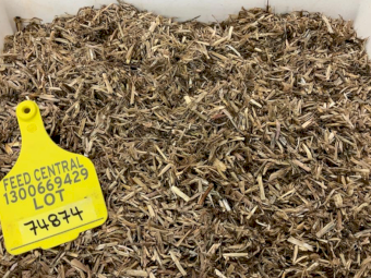 52mt Clover Rye Hay 500kg 8x4x3 Bales