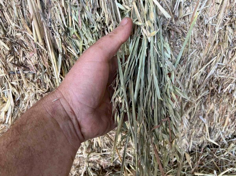 200 Bales of 2020 Oaten Hay