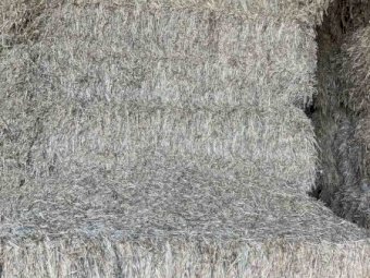 200 Bales of 2020 Oaten Hay