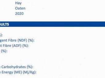 320mt Oaten Hay 715kg 8x4x3 Bales