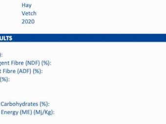 200mt Vetch Hay 650kg 8x4x3 Bales