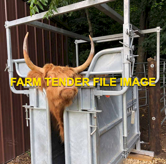 WANTED Cattle Crush For Miniature Highland Cattle With Horns