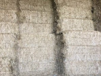 120mt Oaten Hay 8x4x3 Bales