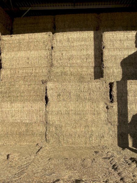 400mt Vetch Hay 580-600kg 8x4x3 Bales