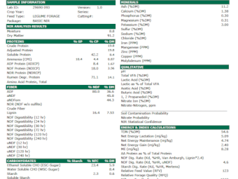 400mt Vetch Hay 580-600kg 8x4x3 Bales