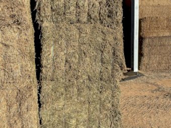 400mt Vetch Hay 580-600kg 8x4x3 Bales