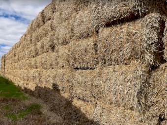 175mt Wheaten Hay 8x4x3 Bales