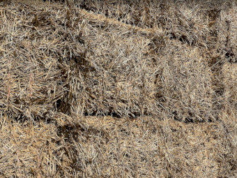 175mt Wheaten Hay 8x4x3 Bales