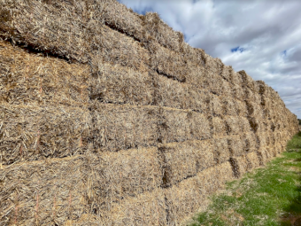 175mt Wheaten Hay 8x4x3 Bales