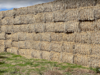 175mt Wheaten Hay 8x4x3 Bales