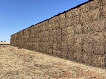 115mt Vetch Hay 580kg 8x4x3 Bales