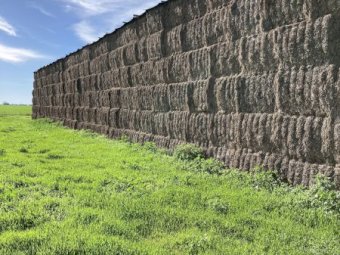 115mt Vetch Hay 580kg 8x4x3 Bales
