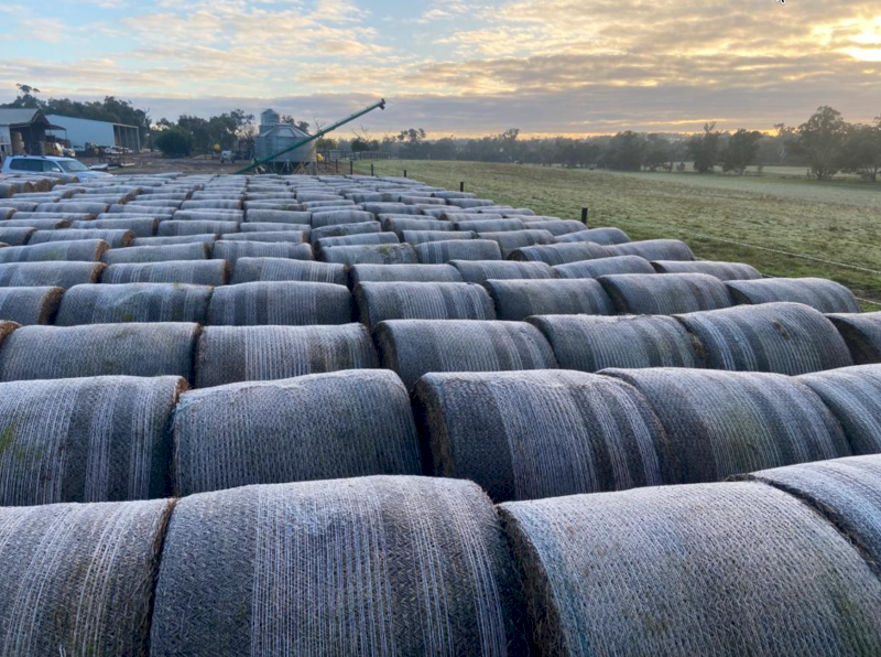200 x Vetch Hay 325-350kg 5x4 Round Bales