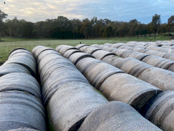 200 x Vetch Hay 325-350kg 5x4 Round Bales