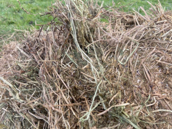 200 x Vetch Hay 325-350kg 5x4 Round Bales