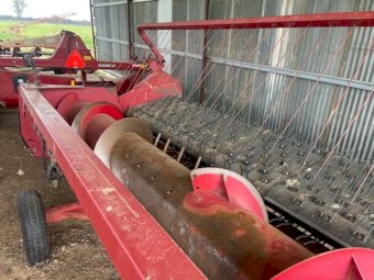 CASE IH 1015 Canola Front off a 2388 Header