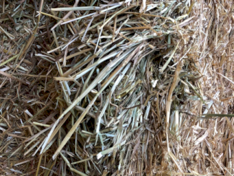 500mt Oaten Hay 650kg 8x4x3 Bales