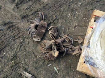 28 Run John Shearer Combine