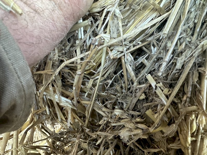 Windrowed Wheaten Hay