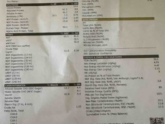 Windrowed Wheaten Hay