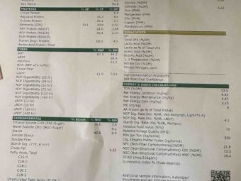 Windrowed Barley Hay