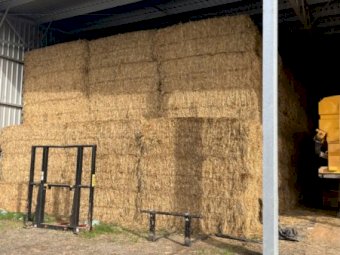 Oaten Hay 8x4x3 Bales