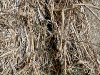 Oaten Hay 8x4x3 Bales