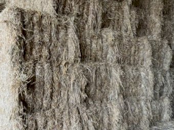 Oaten Hay 8x4x3 Bales