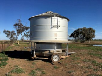 Sherwell Sheep/Cattle Feeder