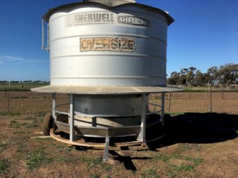 Sherwell Sheep/Cattle Feeder